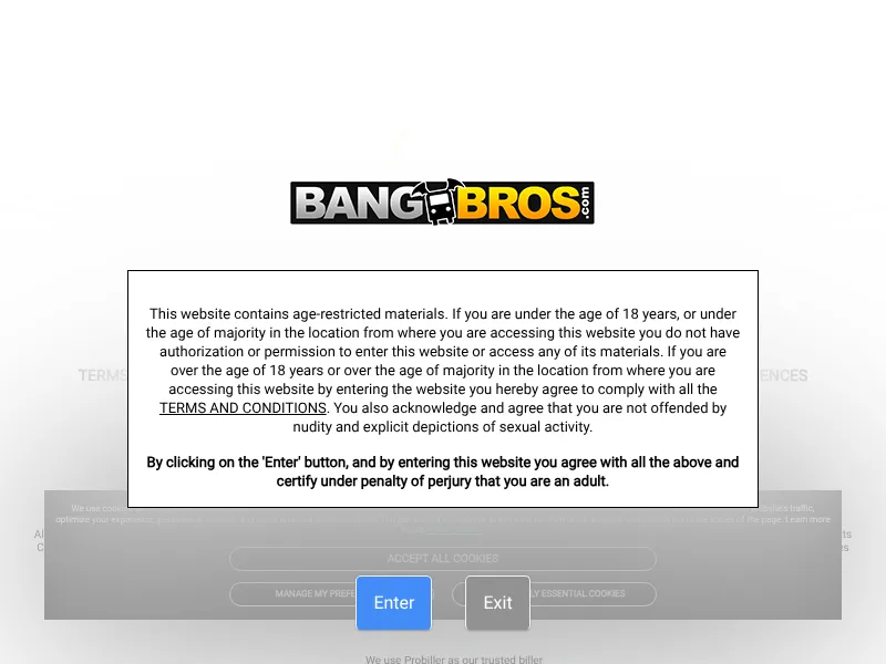 BangBros Network screenshot