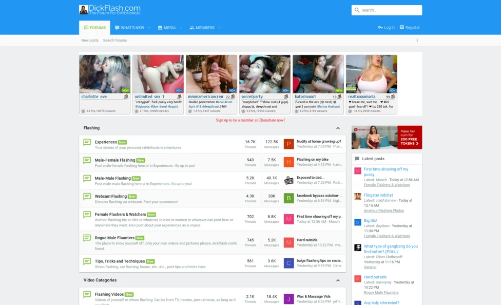 DickFlash screenshot