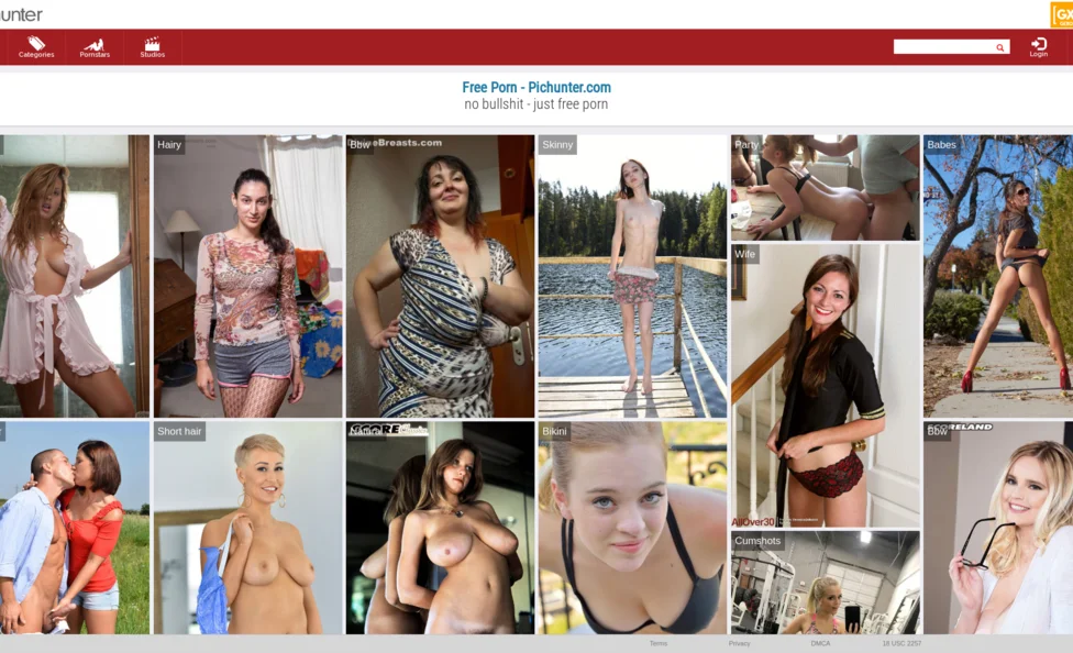 PicHunter screenshot