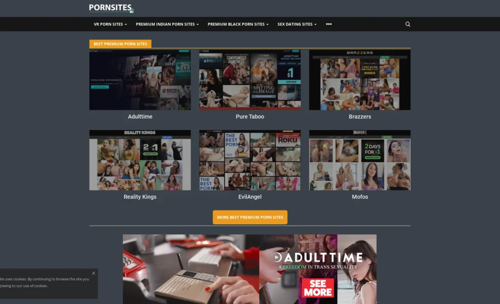 The Porn Sites screenshot