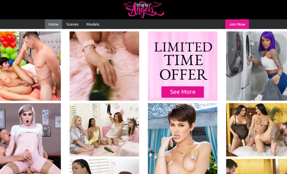 TransAngels screenshot