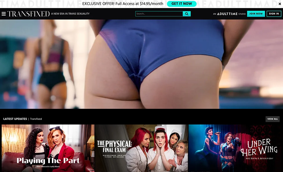 TransFixed screenshot